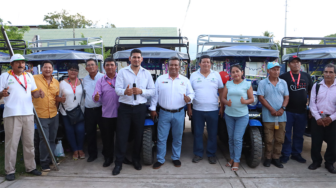 Cocos de castaña recién recolectados
