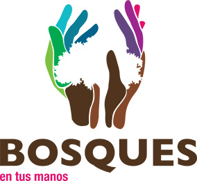 Programa Bosques