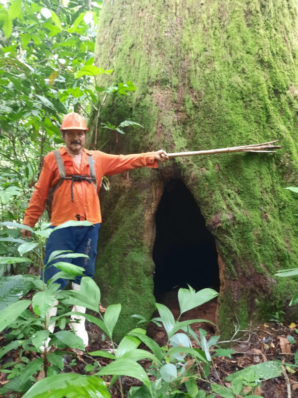 Concesionarios del Consorcio Carmen Rosa en el bosque