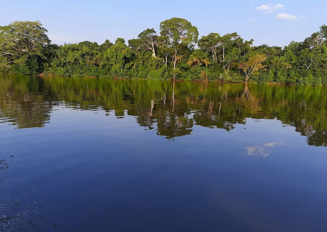 COOPAFSAMAD logra acreditación de Verra para el Proyecto REDD+ “Juntos por los Bosques”