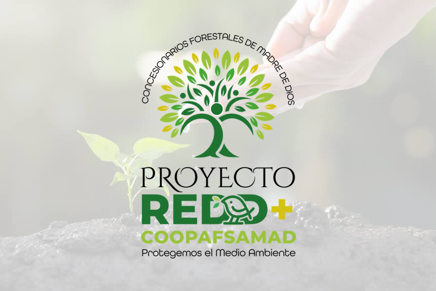 Juntos por los Bosques - REDD+COOPAFSAMAD